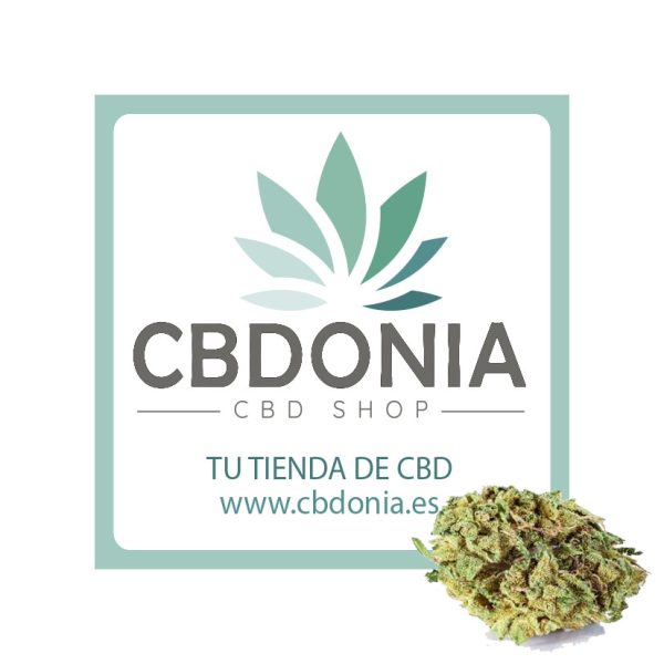 Flores de CBD Amnesia a granel